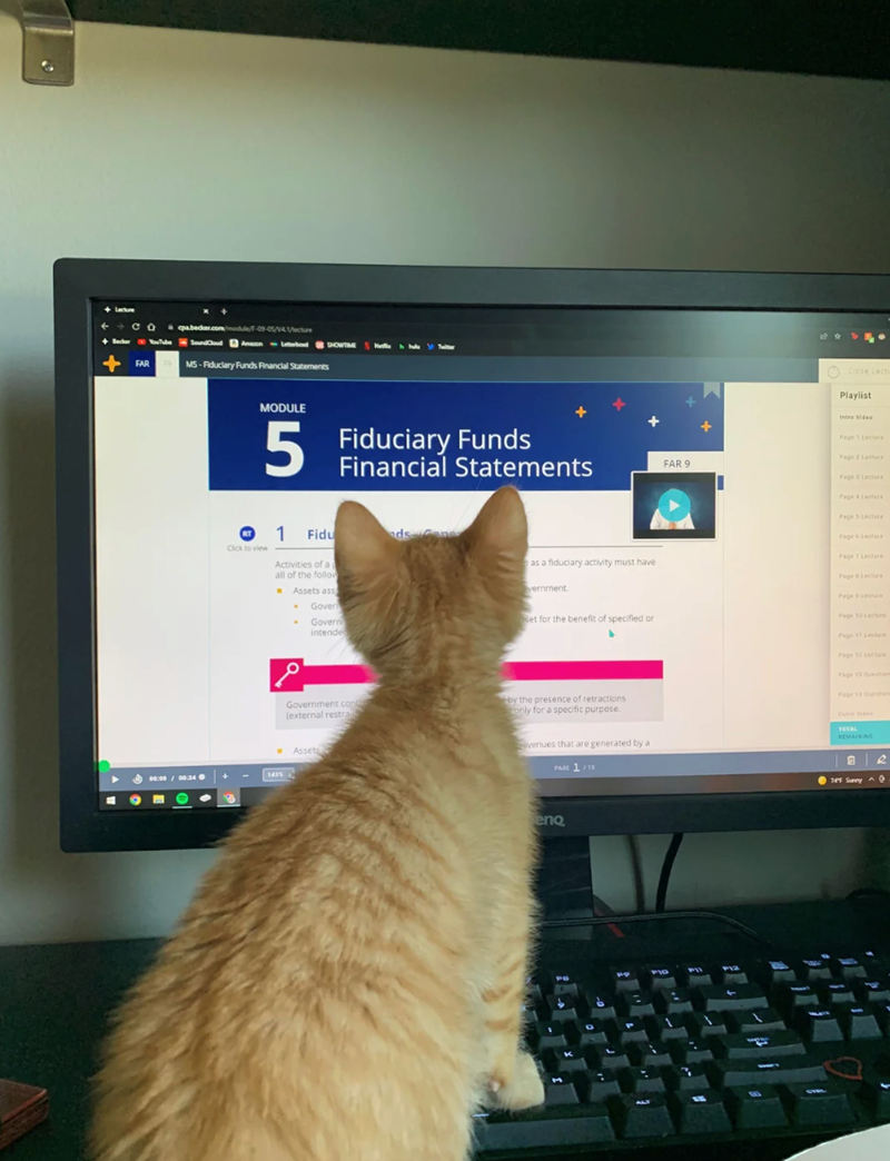 Lecture CO pabecker.com/module/F-09-05/14ctur FAR MS-Aduciary Funds Financial Statements SHOWTIME MODULE 5 Fiduciary Funds Financial Statements Click to view 1 Fidu Activities of ag all of the follow Assets ass . Gover Govern intende م 00:00/00:24 1435 Close Lect Playlist Intro Video Page 1 Lecture Page 2 Lecture FAR 9 Page 3 Lecture Page 4 Lecture Page 5 Lecture Page 6 Lecture as a fiduciary activity must have Page 7 Lecture Page Lecture vernment. et for the benefit of specified or Page 10 Lect