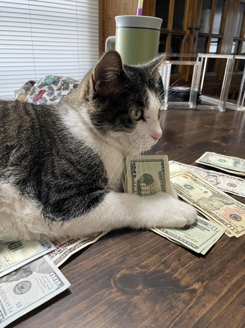 B2 NB 19440196 B THE UNIT DO OOL Steven T. Ma 23344 M PE 64762269 E5 TICKLE