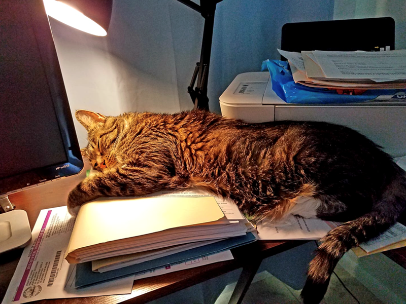 1122 THE BYLAWSON WUR