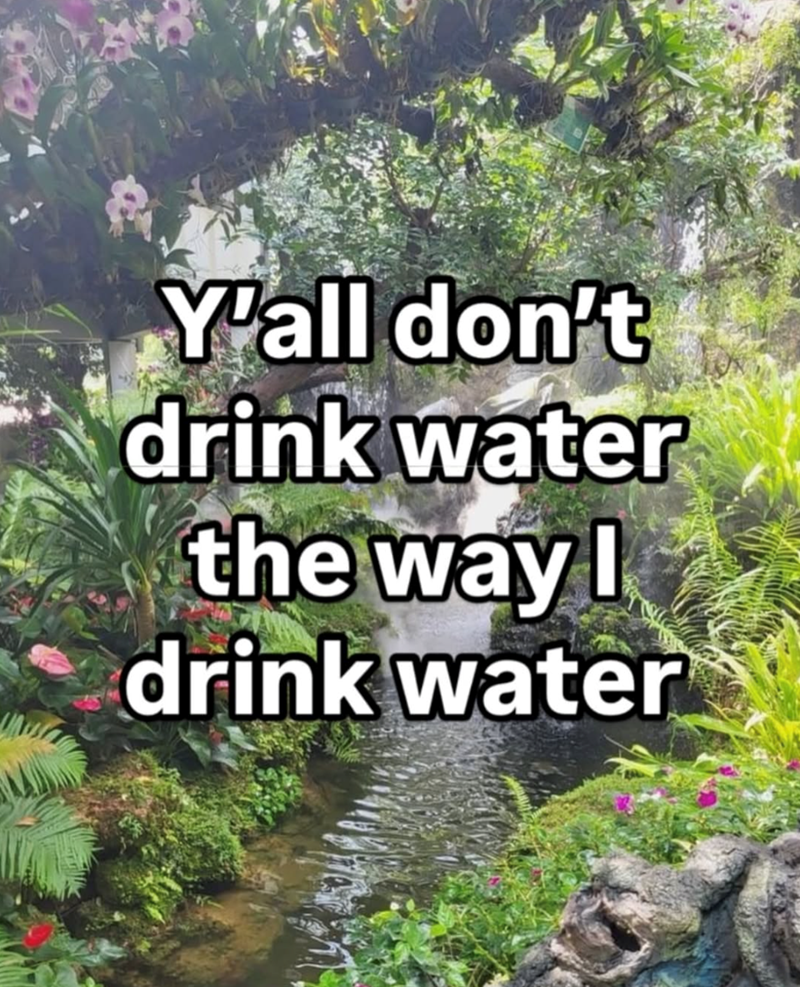 Y'all don't drink water the way I drink water