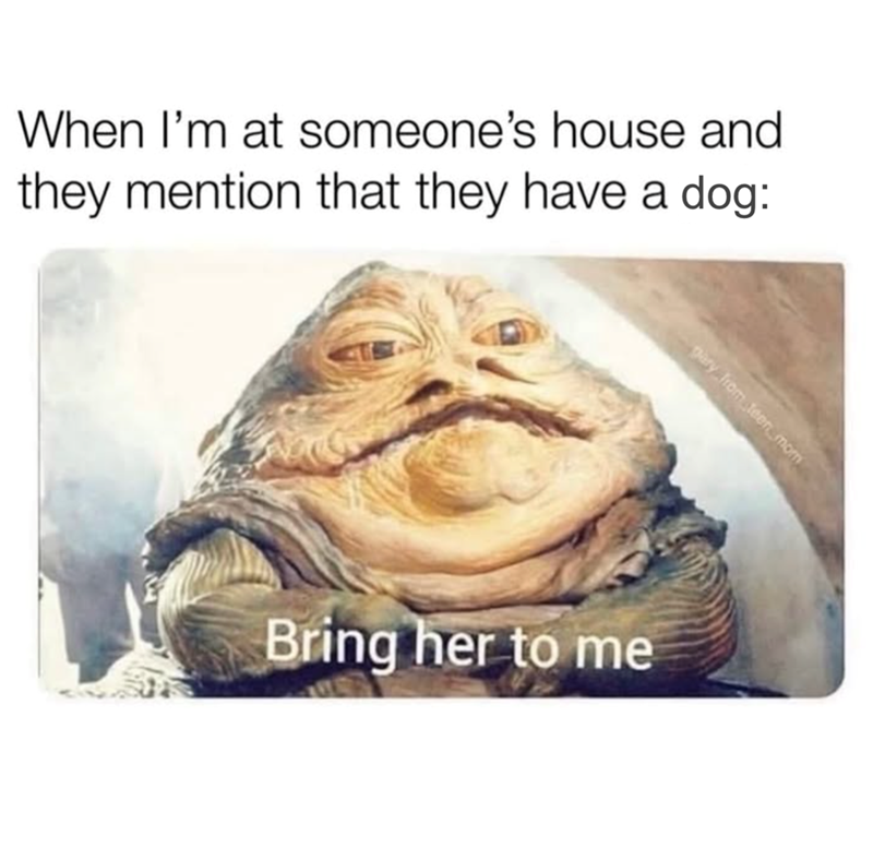 When I'm at someone's house and they mention that they have a dog: gary from teen mom Bring her to me