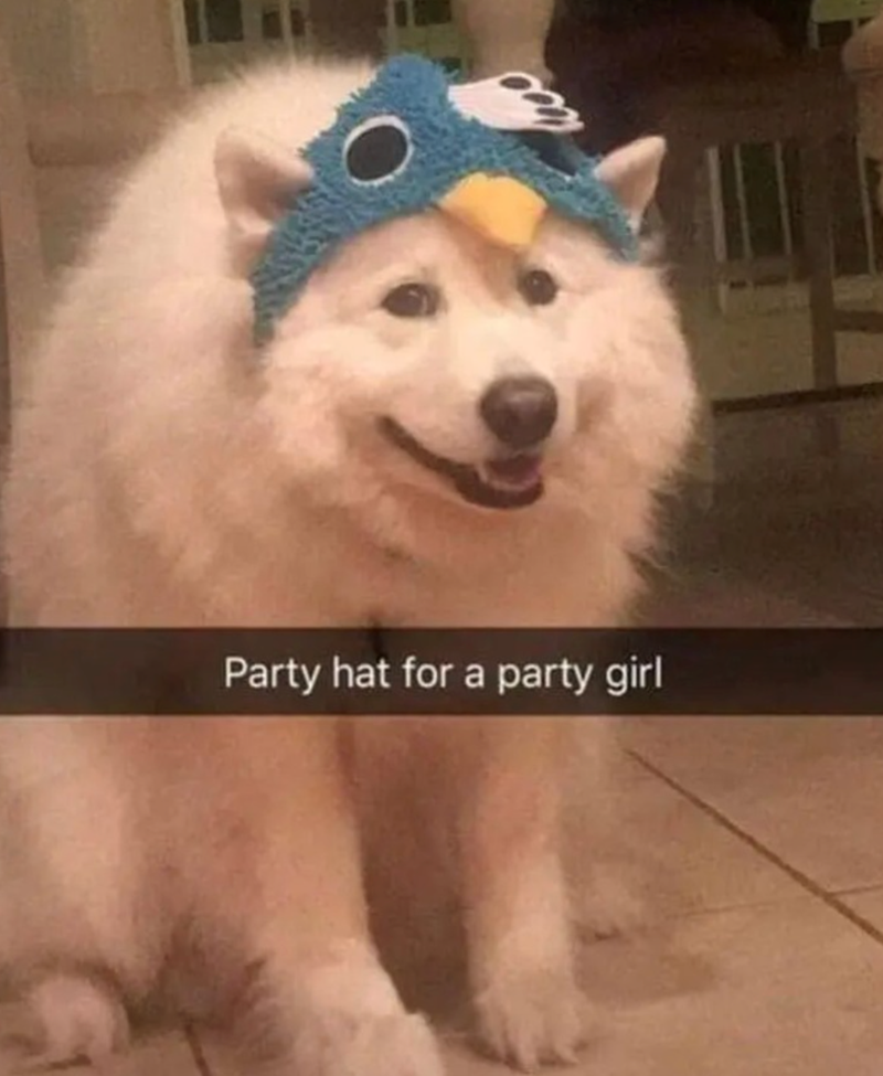 Party hat for a party girl