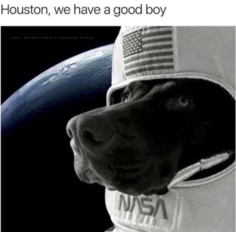 Houston, we have a good boy NASA