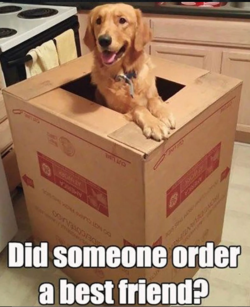 Did someone order a best friend? OT LINE