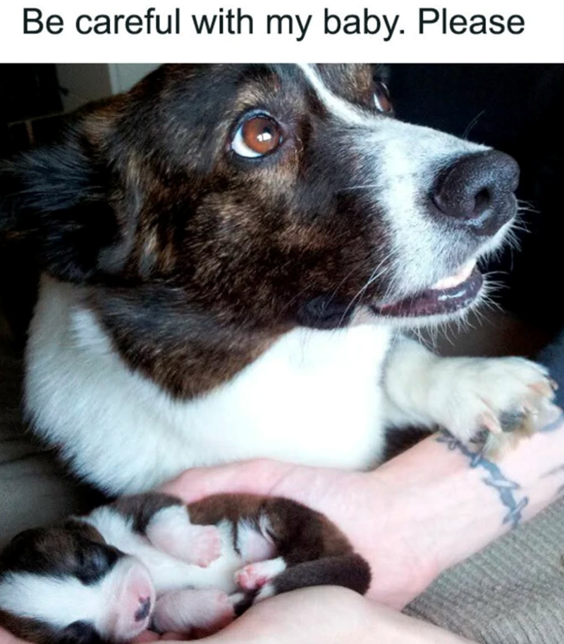 Be careful with my baby. Please