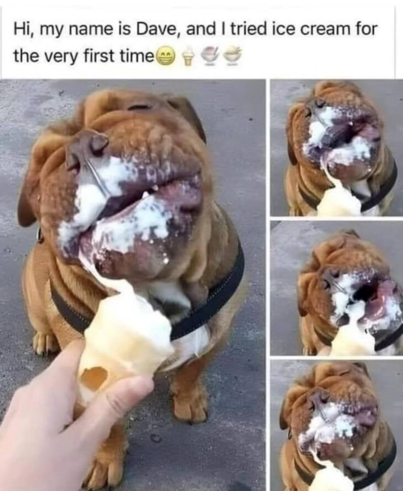 Hi, my name is Dave, and I tried ice cream for the very first time e