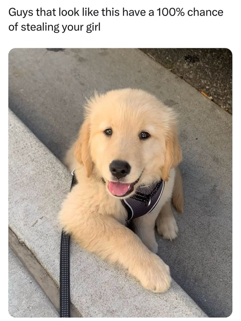 Guys that look like this have a 100% chance of stealing your girl