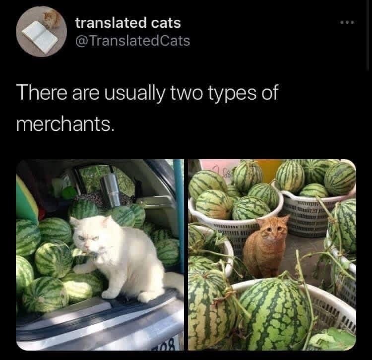 translated cats @Translated Cats There are usually two types of merchants.