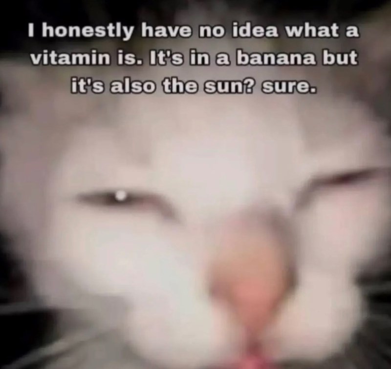 I honestly have no idea what a vitamin is. It's in a banana but it's also the sun? sure.