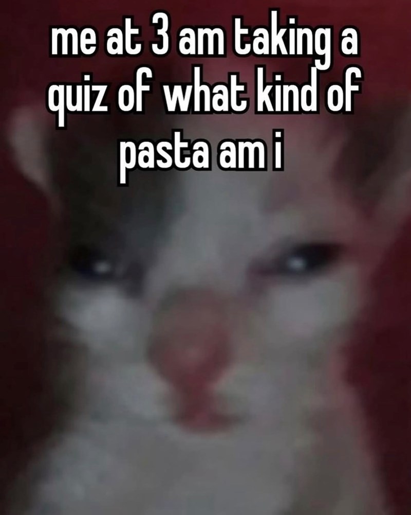 me at 3 am taking a quiz of what kind of pasta am i
