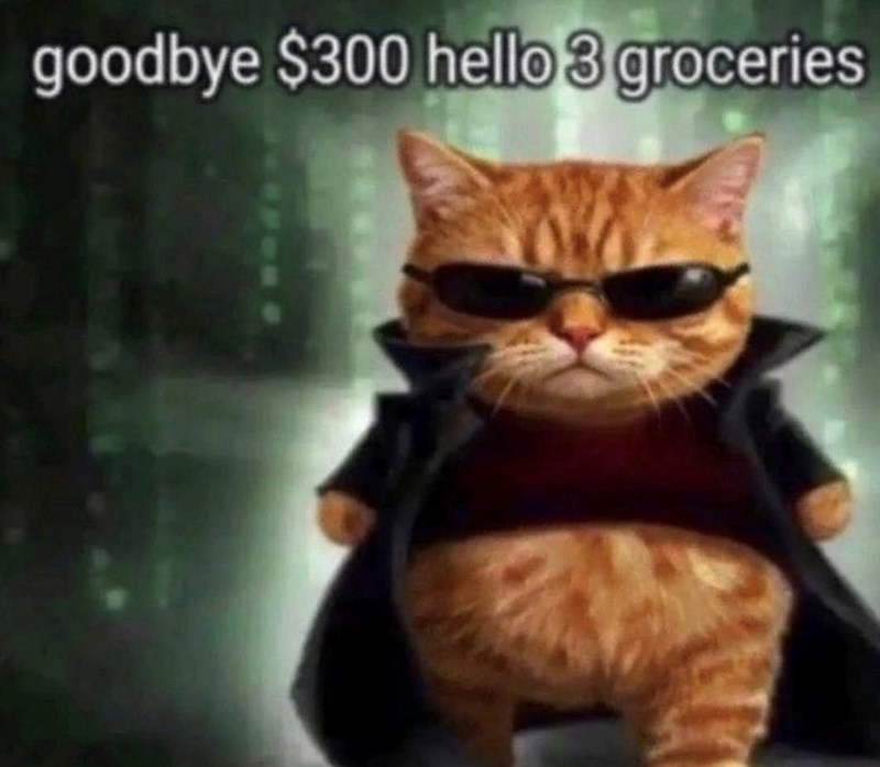 goodbye $300 hello 3 groceries