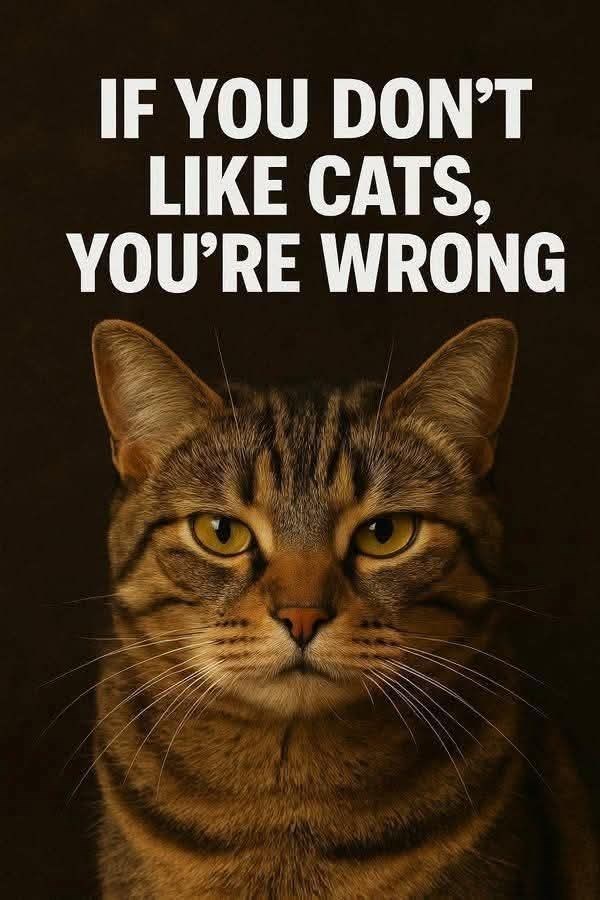 IF YOU DON'T LIKE CATS, YOU'RE WRONG