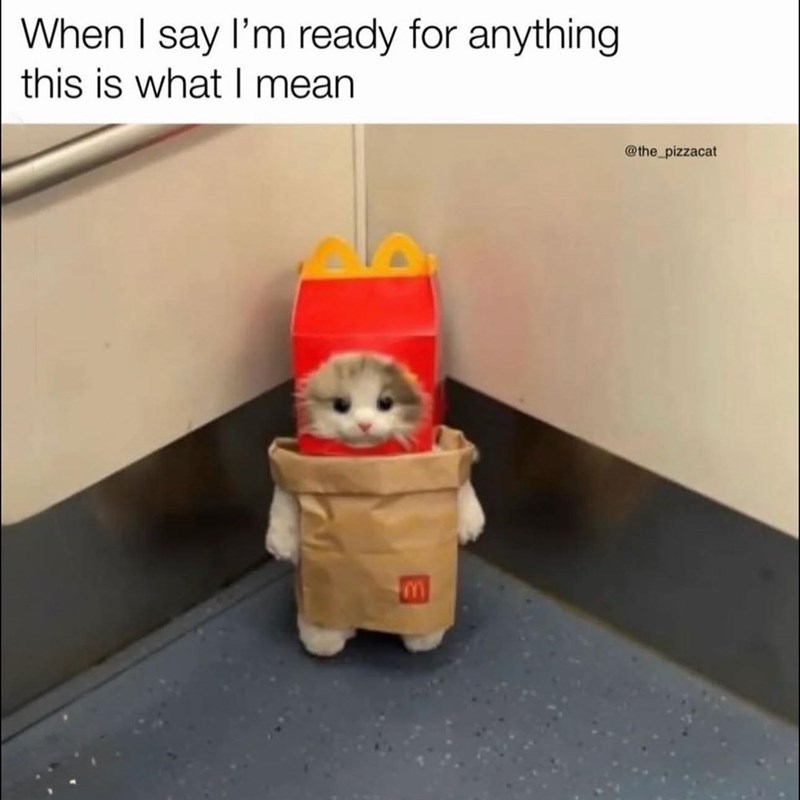 When I say I'm ready for anything this is what I mean @the_pizzacat E