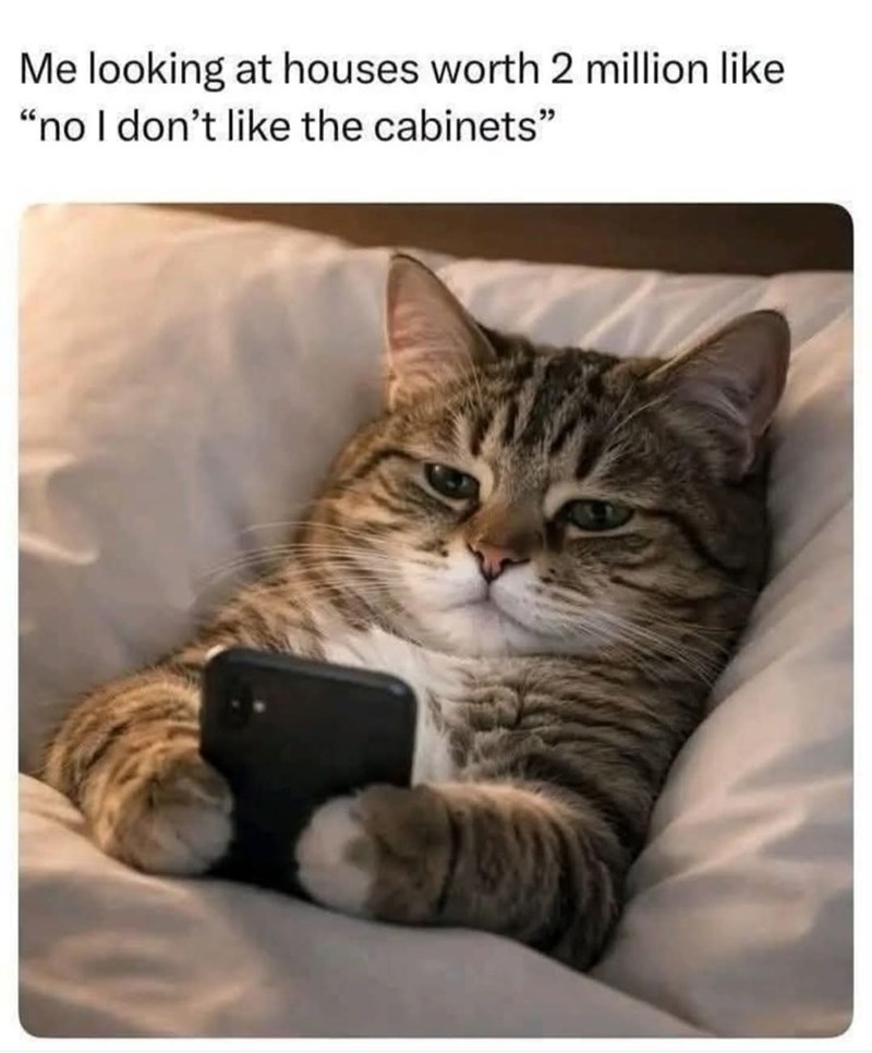 Me looking at houses worth 2 million like "no I don't like the cabinets"