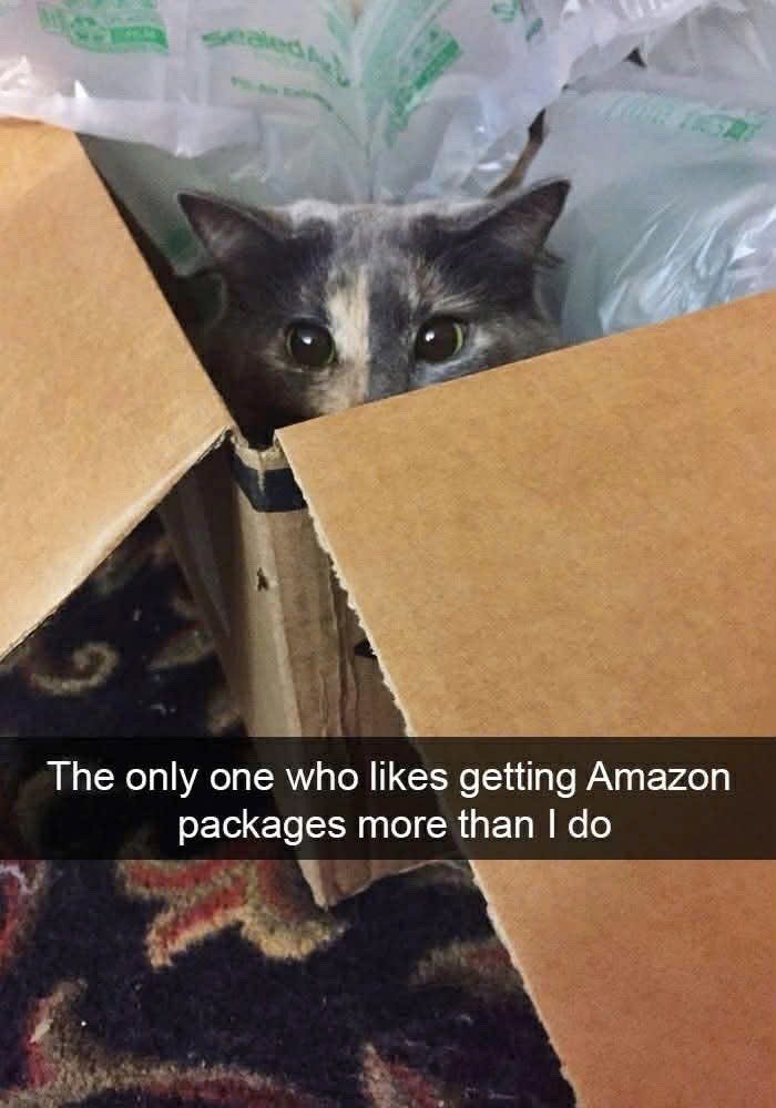 The only one who likes getting Amazon packages more than I do
