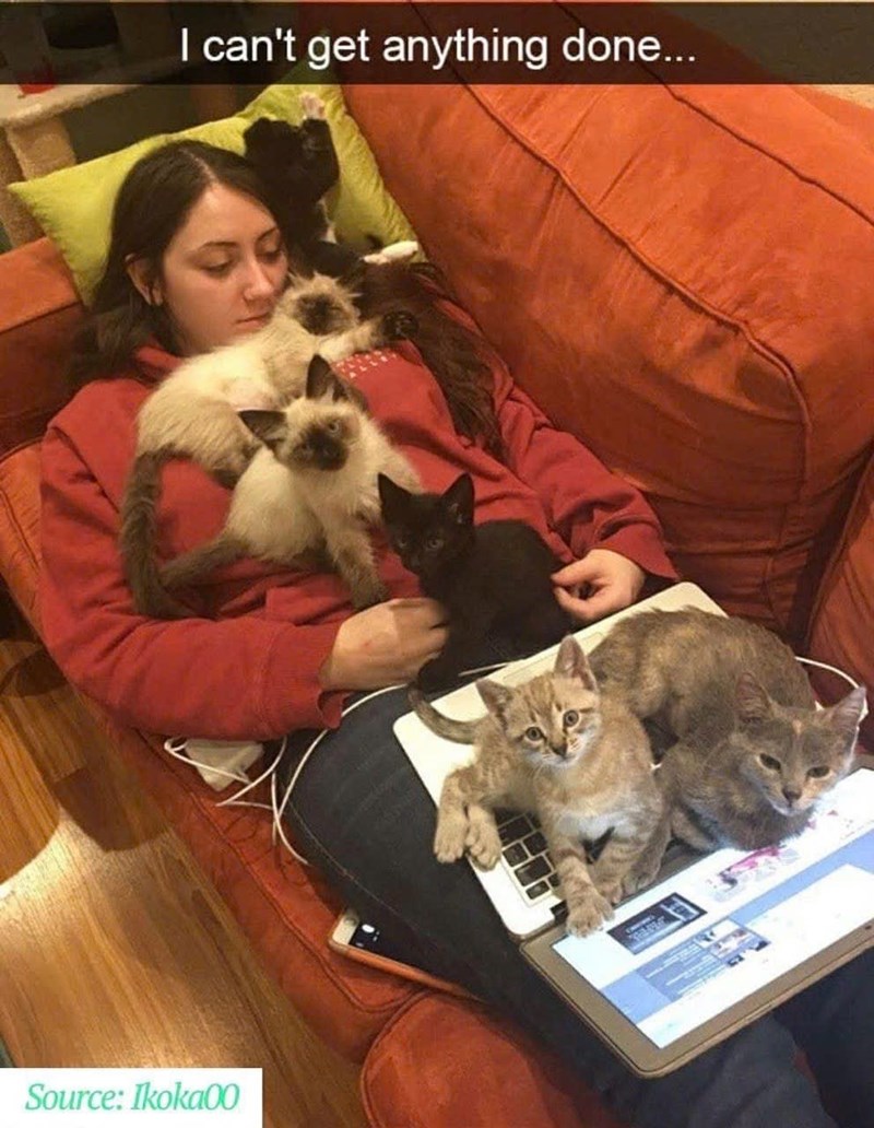 I can't get anything done... Source: Ikoka00