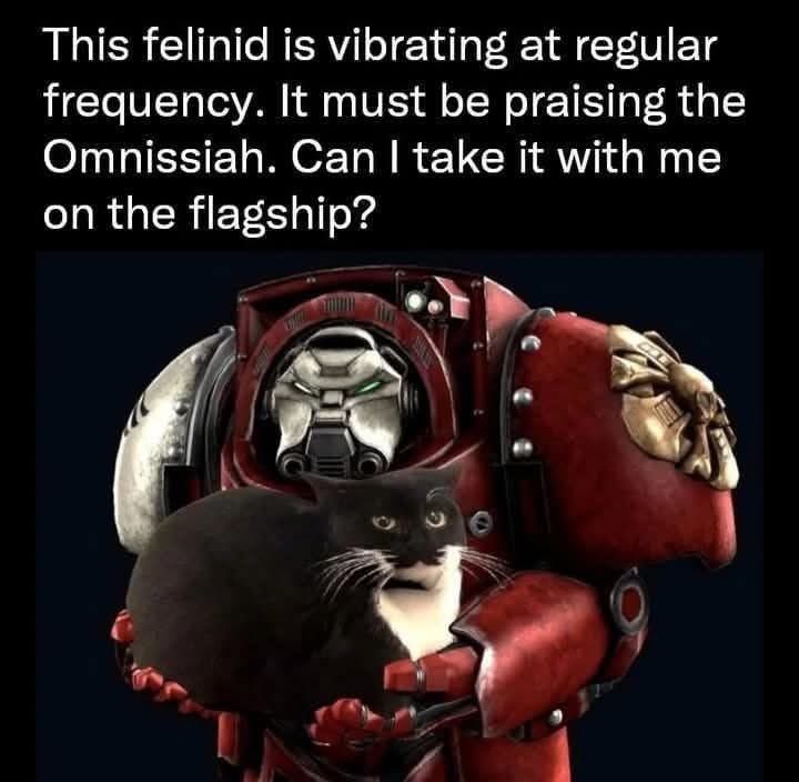 This felinid is vibrating at regular frequency. It must be praising the Omnissiah. Can I take it with me on the flagship?