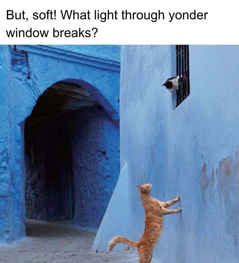 But, soft! What light through yonder window breaks?