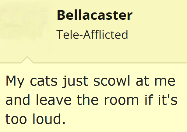 Bellacaster Tele-Afflicted My cats just scowl at me and leave the room if it's too loud.