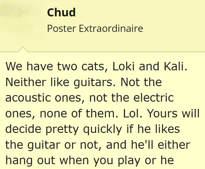 Chud Poster Extraordinaire We have two cats, Loki and Kali. Neither like guitars. Not the acoustic ones, not the electric ones, none of them. Lol. Yours will decide pretty quickly if he likes the guitar or not, and he'll either hang out when you play or he