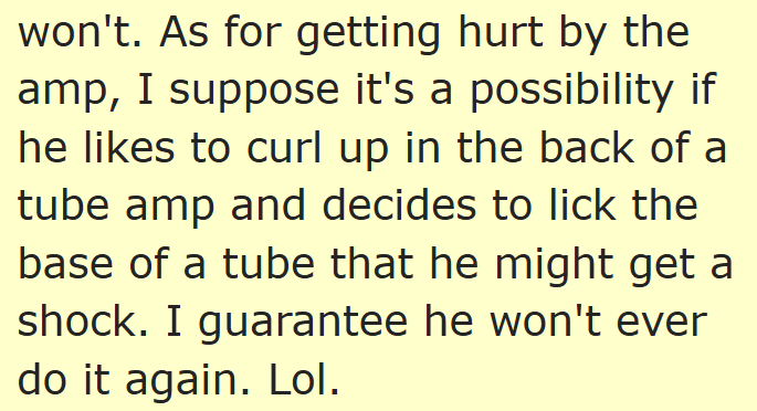 won't. As for getting hurt by the amp, I suppose it's a possibility if he likes to curl up in the back of a tube amp and decides to lick the base of a tube that he might get a shock. I guarantee he won't ever do it again. Lol.