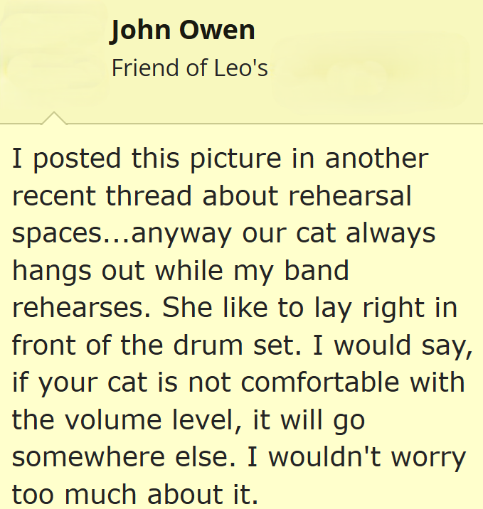 John Owen Friend of Leo's I posted this picture in another recent thread about rehearsal spaces...anyway our cat always hangs out while my band rehearses. She like to lay right in front of the drum set. I would say, if your cat is not comfortable with the volume level, it will go somewhere else. I wouldn't worry too much about it.
