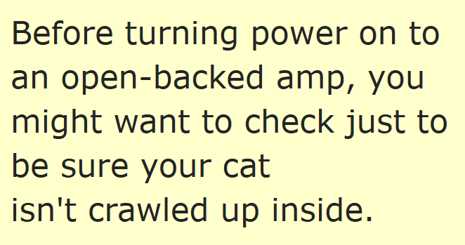 Before turning power on to an open-backed amp, you might want to check just to be sure your cat isn't crawled up inside.