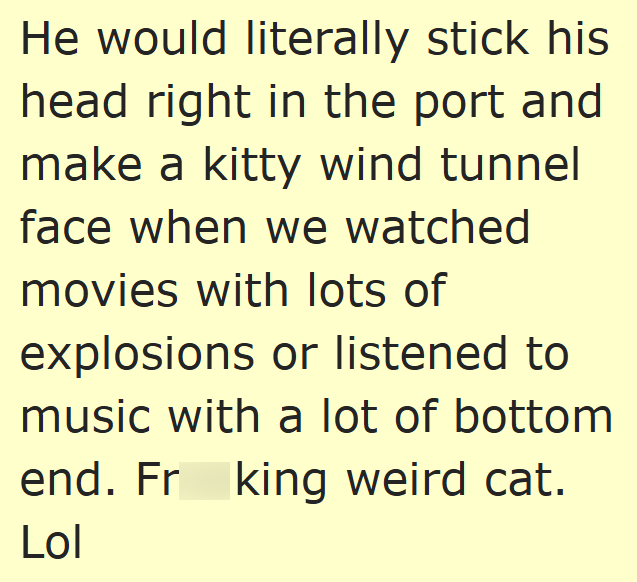 He would literally stick his head right in the port and make a kitty wind tunnel face when we watched movies with lots of explosions or listened to music with a lot of bottom end. Fr king weird cat. Lol
