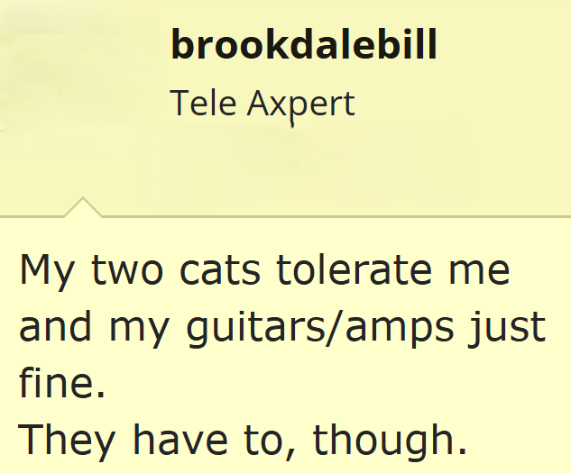 brookdalebill Tele Axpert My two cats tolerate me and my guitars/amps just fine. They have to, though.