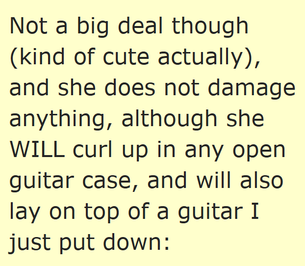 Not a big deal though (kind of cute actually), and she does not damage anything, although she WILL curl up in any open guitar case, and will also lay on top of a guitar I just put down: