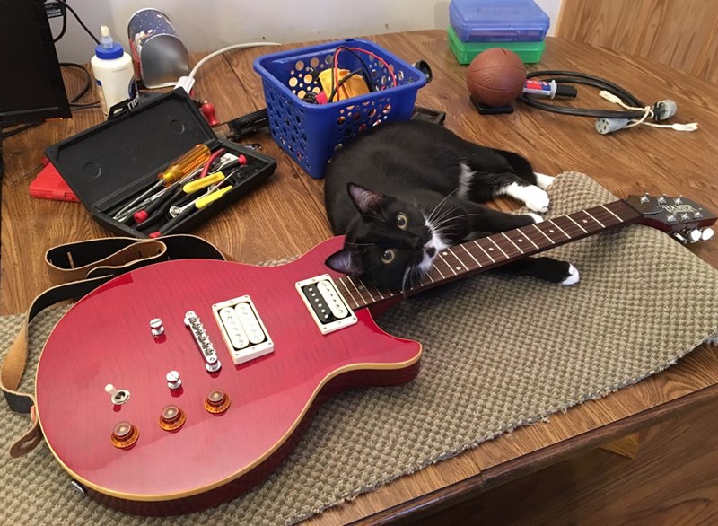 Cheezburger Image 10622628608