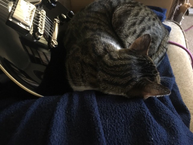 Cheezburger Image 10622628864