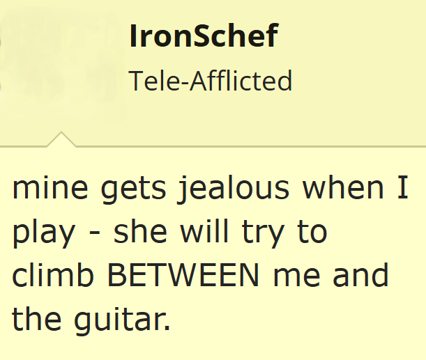 IronSchef Tele-Afflicted mine gets jealous when I play she will try to - climb BETWEEN me and the guitar.