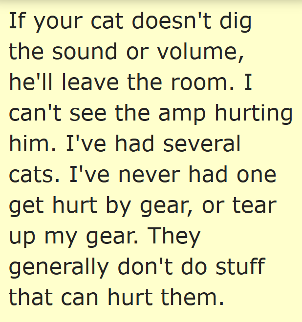 If your cat doesn't dig the sound or volume, he'll leave the room. I can't see the amp hurting him. I've had several cats. I've never had one get hurt by gear, or tear up my gear. They generally don't do stuff that can hurt them.
