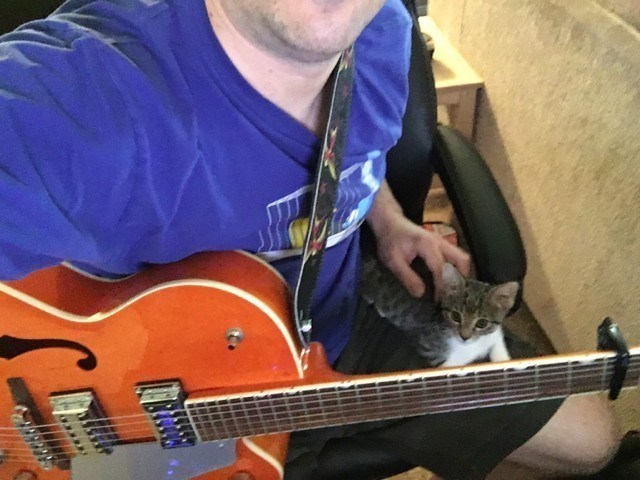 Cheezburger Image 10622632192