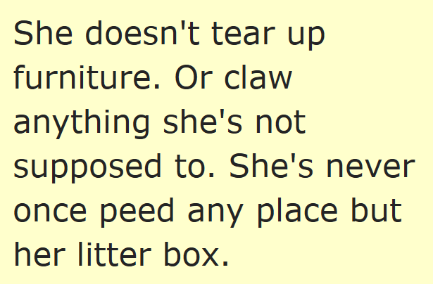 She doesn't tear up furniture. Or claw anything she's not supposed to. She's never once peed any place but her litter box.