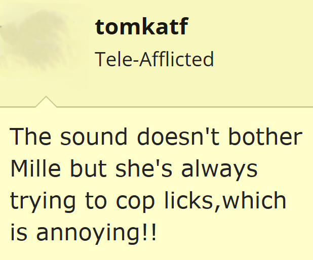 tomkatf Tele-Afflicted The sound doesn't bother Mille but she's always trying to cop licks, which is annoying!!