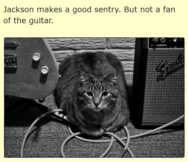 Jackson makes a good sentry. But not a fan of the guitar. 00 INSTRUMENTS