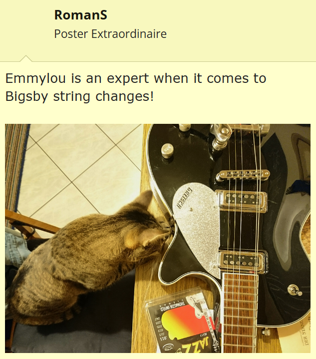 RomanS Poster Extraordinaire Emmylou is an expert when it comes to Bigsby string changes! 290 WISYWOH! 900 610 $10 110 GREISCH DER STA
