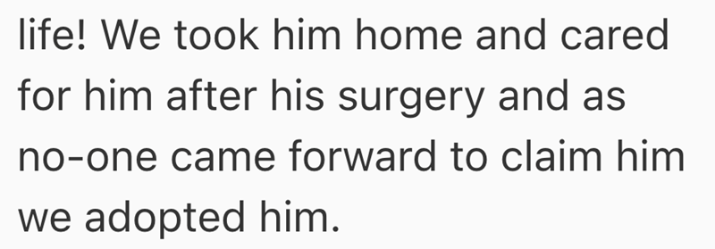 life! We took him home and cared for him after his surgery and as no-one came forward to claim him we adopted him.