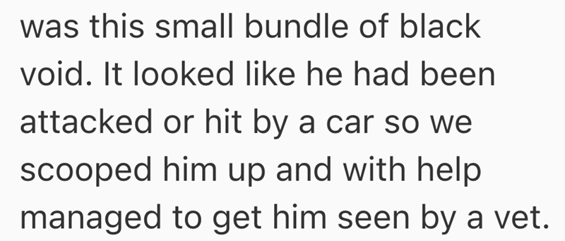 was this small bundle of black void. It looked like he had been attacked or hit by a car so we scooped him up and with help managed to get him seen by a vet.