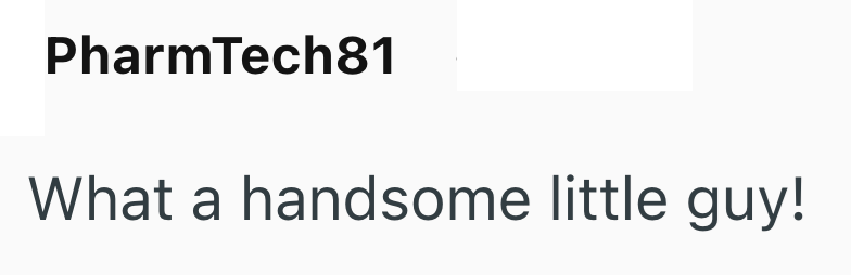 PharmTech81 What a handsome little guy!