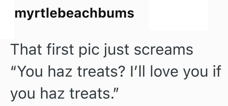 myrtlebeachbums That first pic just screams "You haz treats? I'll love you if you haz treats."