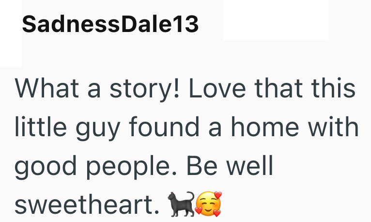 SadnessDale13 What a story! Love that this little guy found a home with good people. Be well sweetheart. G