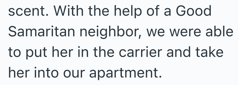 scent. With the help of a Good Samaritan neighbor, we were able to put her in the carrier and take her into our apartment.