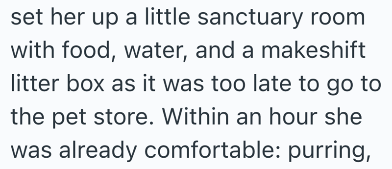 set her up a little sanctuary room with food, water, and a makeshift litter box as it was too late to go to the pet store. Within an hour she was already comfortable: purring,