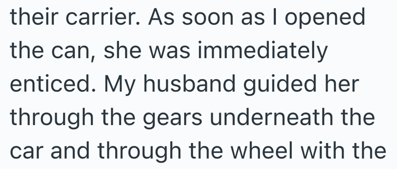 their carrier. As soon as I opened the can, she was immediately enticed. My husband guided her through the gears underneath the car and through the wheel with the