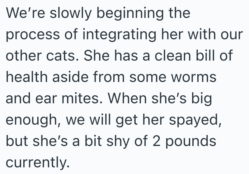 We're slowly beginning the process of integrating her with our other cats. She has a clean bill of health aside from some worms and ear mites. When she's big enough, we will get her spayed, but she's a bit shy of 2 pounds currently.