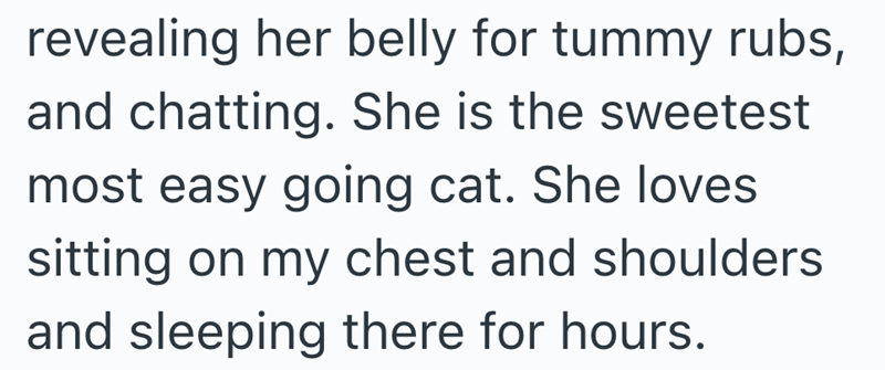 revealing her belly for tummy rubs, and chatting. She is the sweetest most easy going cat. She loves sitting on my chest and shoulders and sleeping there for hours.
