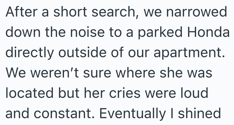 After a short search, we narrowed down the noise to a parked Honda directly outside of our apartment. We weren't sure where she was located but her cries were loud and constant. Eventually I shined
